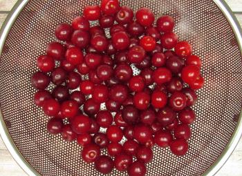 product-img-one_115.jpg